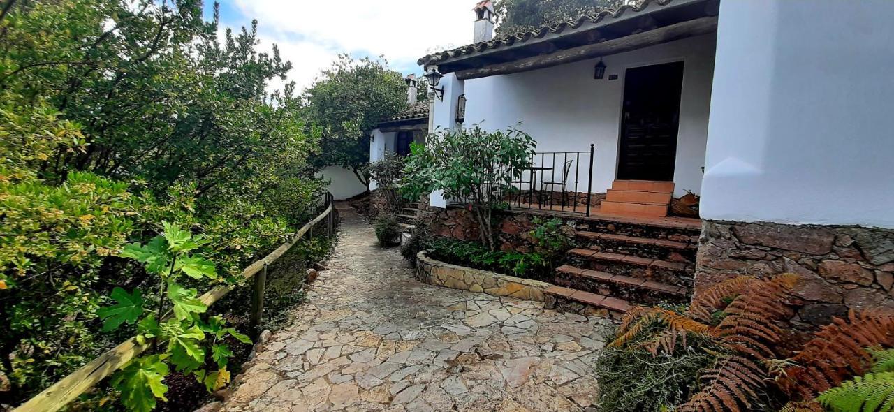 Finca Valbono Apartamentos Rurales Y Hotel Aracena Exteriör bild