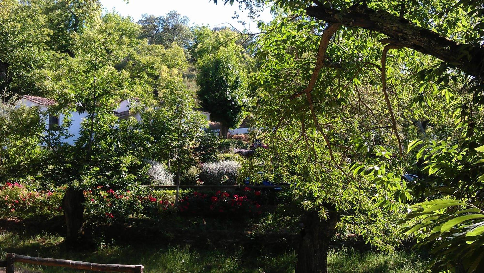 Finca Valbono Apartamentos Rurales Y Hotel Aracena Exteriör bild